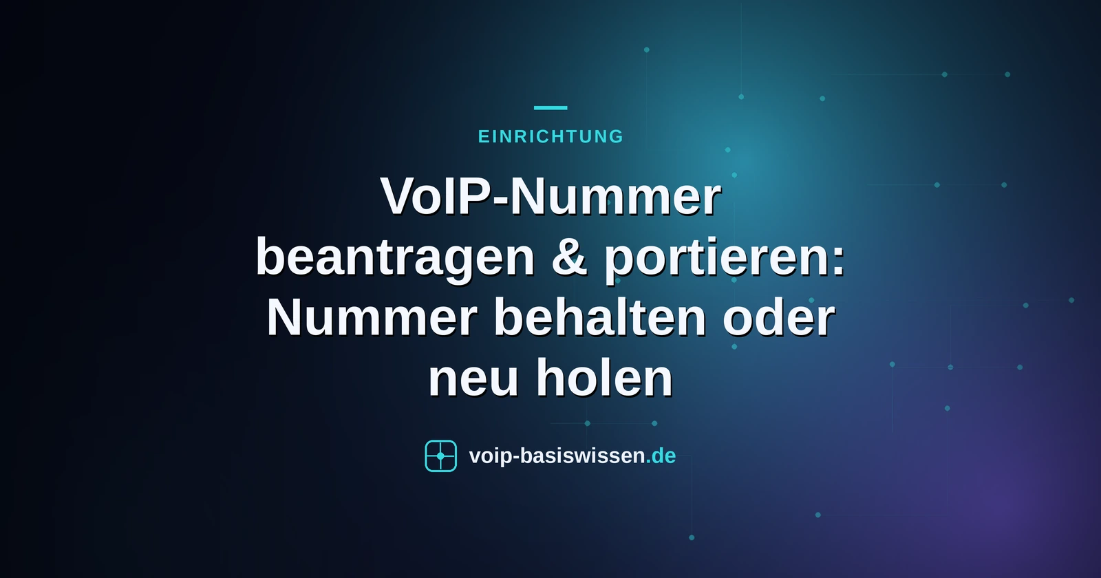 VoIP-Nummer beantragen & portieren: Nummer behalten oder neu holen